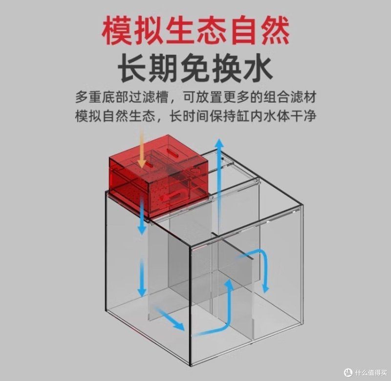 老魚匠魚缸質量評測【《老魚匠魚缸質量評測》】 老魚匠魚缸質量評測【《老魚匠魚缸質量評測》】 龍魚百科 第3張