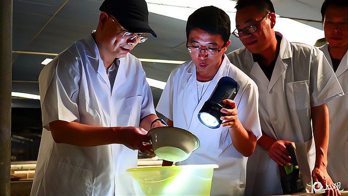 刀魚有沒有人工養殖的【刀魚人工養殖刀魚人工養殖技術取得顯著成品率和成品率突破3】