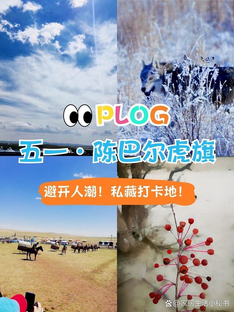 陳巴爾虎旗龍魚店【五一草原漫游計劃|小眾陳巴爾虎旗攻略家居生活小秘書】