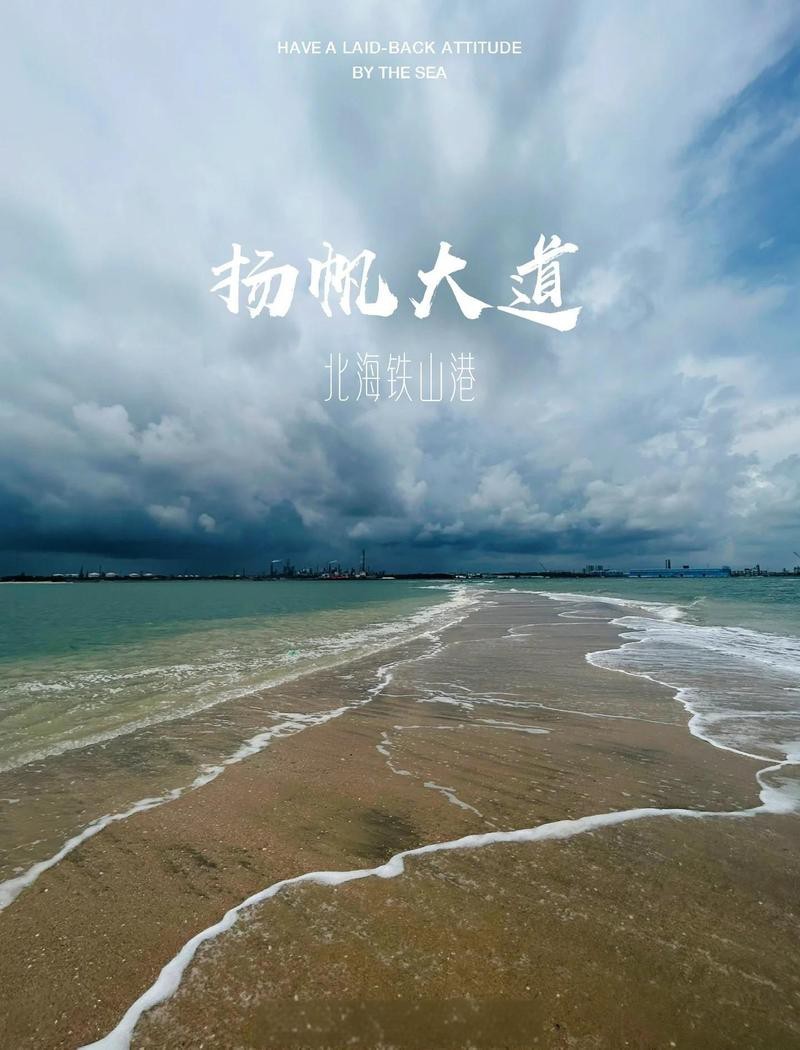 鐵山港龍魚店【鐵山港龍魚店 鐵山港龍魚店【鐵山港龍魚店\