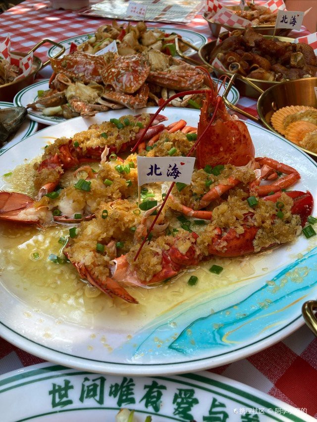 鐵山港龍魚店【鐵山港龍魚店 鐵山港龍魚店【鐵山港龍魚店\