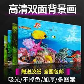 超美龍魚壁紙的價格是多少？【超美龍魚壁紙價格】