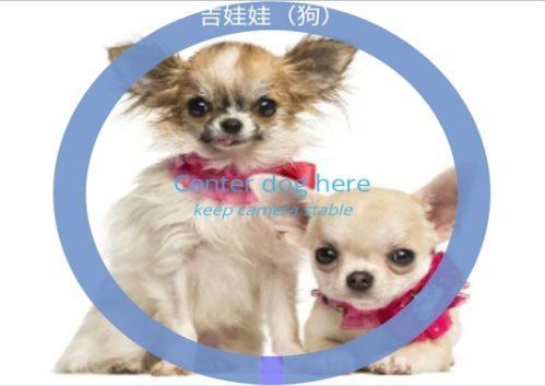 識別狗狗品種軟件【ai識寵拍照識別犬軟件有哪些】 龍魚百科 第5張 識別狗狗品種軟件【ai識寵拍照識別犬軟件有哪些】 識別狗狗品種軟件【ai識寵拍照識別犬軟件有哪些】 龍魚百科 第5張