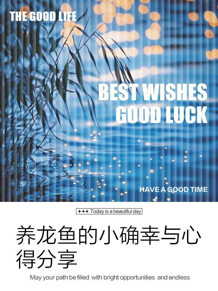 龍魚最暖心十句話【《龍魚最暖心十句話》*呈現了十句暖心話語】