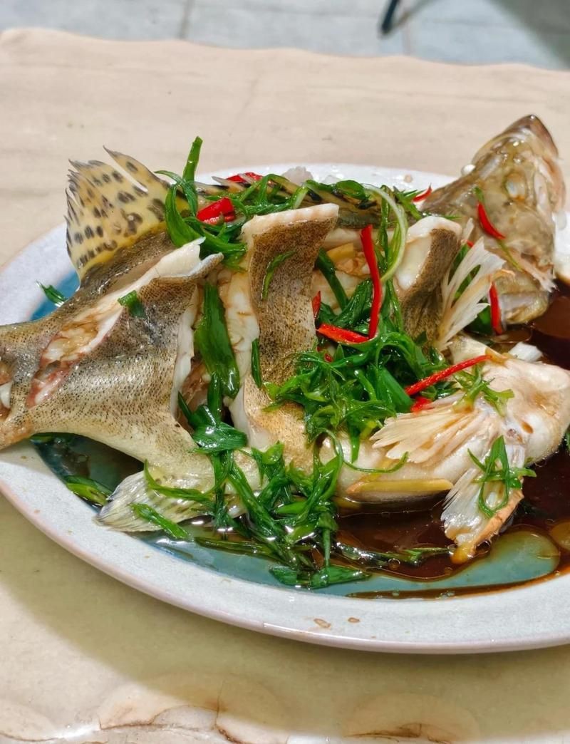 花斑魚多少錢一斤【花斑魚價格一般多少錢】 花斑魚多少錢一斤【花斑魚價格一般多少錢】 龍魚論壇 第4張