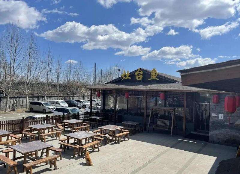 靈丘龍魚店【靈丘龍魚店——水族世界的奇妙角落】 靈丘龍魚店【靈丘龍魚店——水族世界的奇妙角落】 全國(guó)水族館企業(yè)名錄 第2張