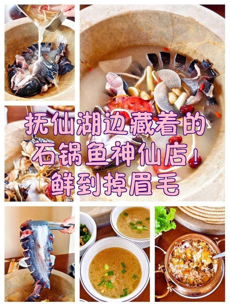 甘洛龍魚店【《甘洛龍魚店：水族世界的奇妙角落》】