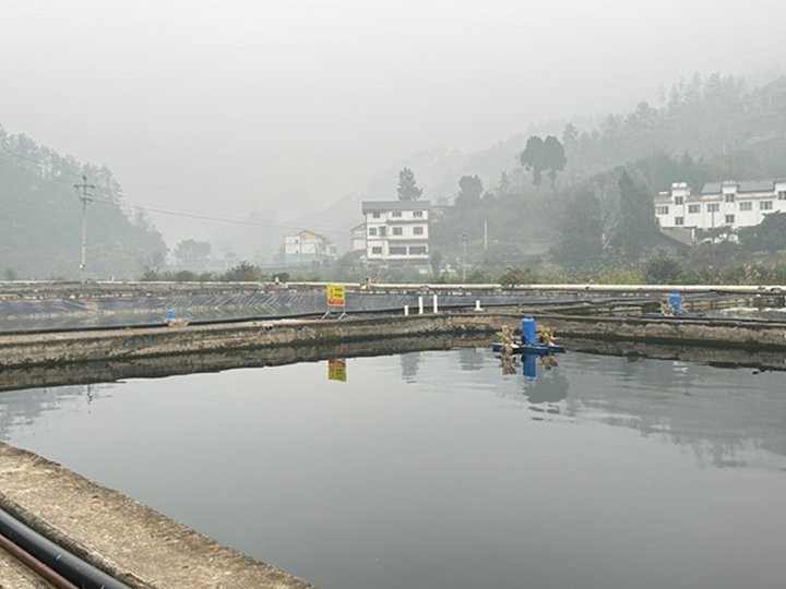 <strong><mark>桐梓</mark></strong>龍魚店【<strong><mark>桐梓</mark></strong>縣禾花鯉的市場需求】