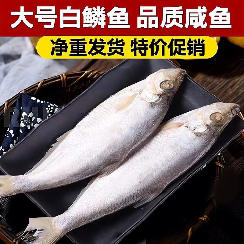 鹽源水族店【水族愛好者的夢幻天地——鹽源水族店】