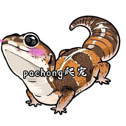 金魚身上受傷了會自愈嗎【金魚受傷會自愈嗎】 金魚身上受傷了會自愈嗎【金魚受傷會自愈嗎】 龍魚百科 第18張