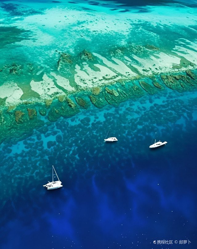 西沙水族店【海洋精靈的奇妙世界】 西沙水族店【海洋精靈的奇妙世界】 全國水族館企業名錄 第1張