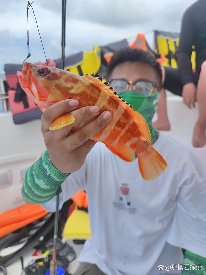 西沙水族店【海洋精靈的奇妙世界】 西沙水族店【海洋精靈的奇妙世界】 全國水族館企業名錄 第2張