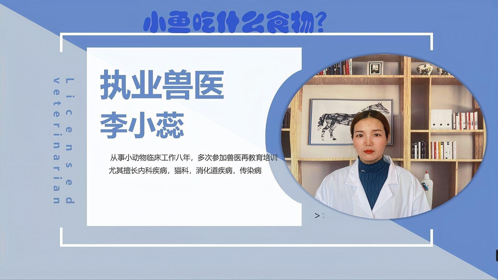 藍帆眼斑活小魚喂什么食物【藍帆眼斑活小魚吃什么餌料游跡客kk小魚吃什么餌料游跡客kk】