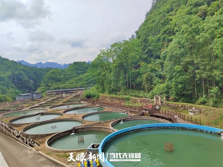 黔東南龍魚店【黔東南龍魚養(yǎng)殖基地在哪里】 黔東南龍魚店【黔東南龍魚養(yǎng)殖基地在哪里】 全國(guó)水族館企業(yè)名錄 第5張