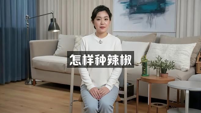 辣椒種植方法和注意事項【怎樣種辣椒生態牧人辣椒高產種植全程水肥管理方案】 辣椒種植方法和注意事項【怎樣種辣椒生態牧人辣椒高產種植全程水肥管理方案】 龍魚百科 第2張