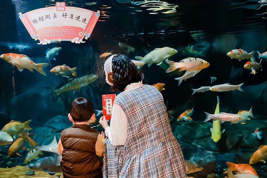 綠春水族店【中國水生物“打卡”活動(dòng)上觀新聞】