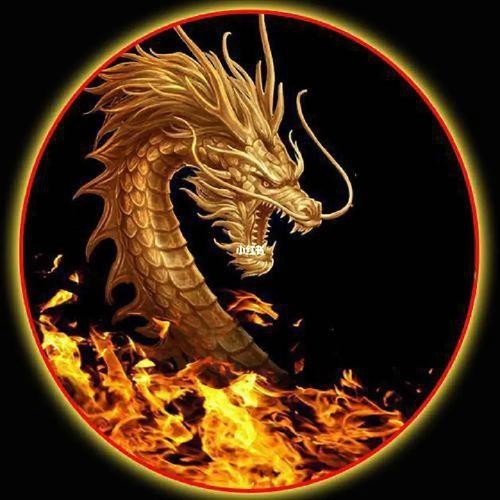 能推薦一些高清金龍微信頭像嗎？【高清金龍微信頭像分享】 能推薦一些高清金龍微信頭像嗎？【高清金龍微信頭像分享】 龍魚論壇 第11張