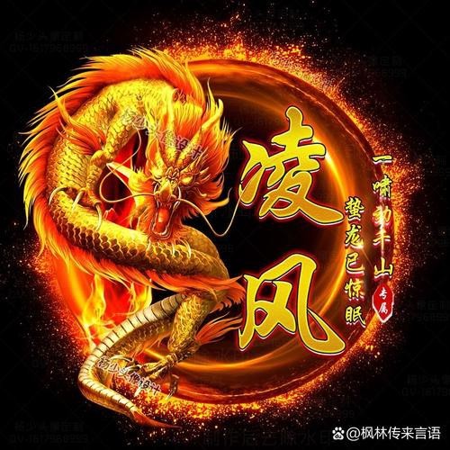 能推薦一些高清金龍微信頭像嗎？【高清金龍微信頭像分享】 能推薦一些高清金龍微信頭像嗎？【高清金龍微信頭像分享】 龍魚論壇 第17張