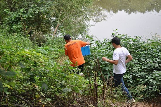 蠑螈不想養了丟河里可以嗎【東方蠑螈不想養了丟河里可以嗎】