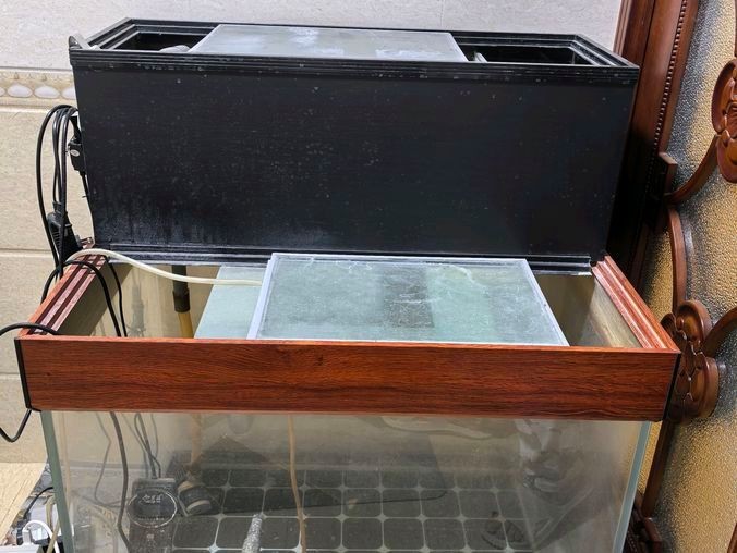 沁縣龍魚店【沁縣有龍魚店嗎】 沁縣龍魚店【沁縣有龍魚店嗎】 全國水族館企業名錄 第2張