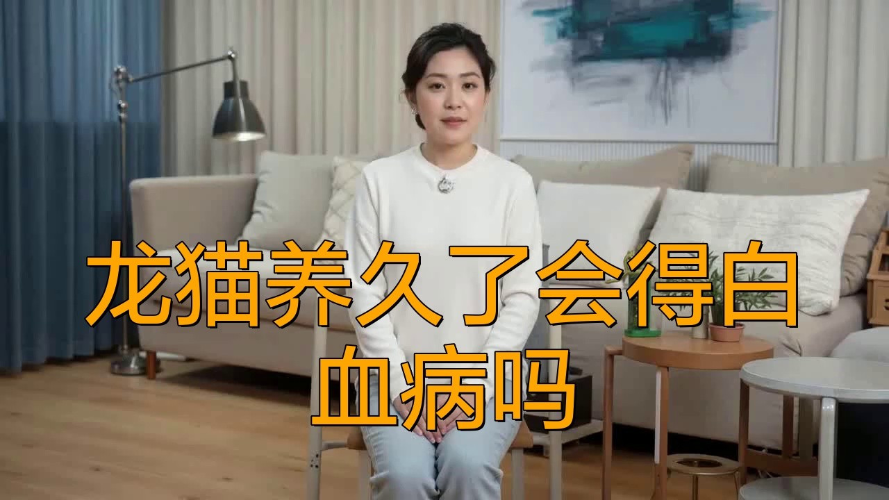 龍貓養久了會得白血病嗎【龍貓養久了會得白血病嗎萌寵專家貓貓也會患白血病嗎】 龍貓養久了會得白血病嗎【龍貓養久了會得白血病嗎萌寵專家貓貓也會患白血病嗎】 龍魚論壇 第1張