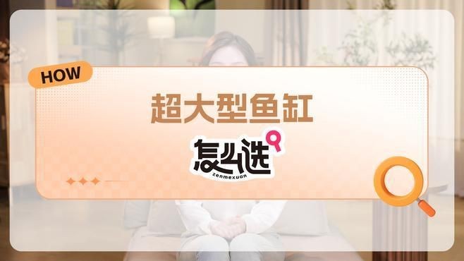 魚缸尺寸過大有哪些具體問題?【東臺(tái)達(dá)味60x35x40魚缸尺寸最忌三種閑人煮藝】 龍魚百科 第4張 魚缸尺寸過大有哪些具體問題?【東臺(tái)達(dá)味60x35x40魚缸尺寸最忌三種閑人煮藝】 魚缸尺寸過大有哪些具體問題?【東臺(tái)達(dá)味60x35x40魚缸尺寸最忌三種閑人煮藝】 龍魚百科 第4張