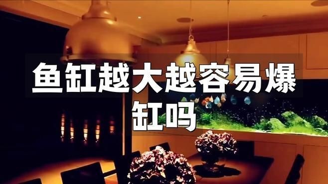 魚缸尺寸過大有哪些具體問題?【東臺(tái)達(dá)味60x35x40魚缸尺寸最忌三種閑人煮藝】 龍魚百科 第2張 魚缸尺寸過大有哪些具體問題?【東臺(tái)達(dá)味60x35x40魚缸尺寸最忌三種閑人煮藝】 魚缸尺寸過大有哪些具體問題?【東臺(tái)達(dá)味60x35x40魚缸尺寸最忌三種閑人煮藝】 龍魚百科 第2張