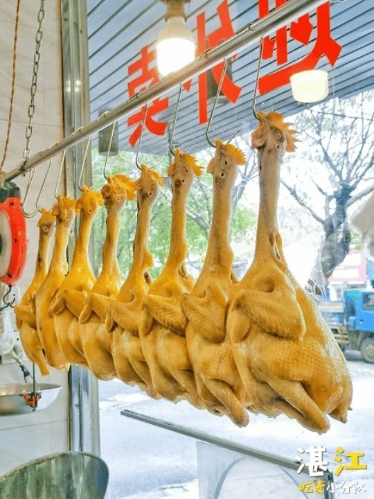 赤坎龍魚店【湛江赤坎日料自助餐:高性價比美食體驗小糖葫蘆道王師姐名雅咖啡】 赤坎龍魚店【湛江赤坎日料自助餐:高性價比美食體驗小糖葫蘆道王師姐名雅咖啡】 全國水族館企業名錄 第2張