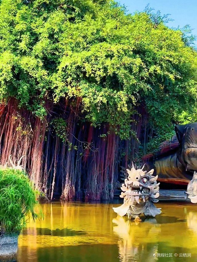 赤坎龍魚店【湛江赤坎日料自助餐:高性價比美食體驗小糖葫蘆道王師姐名雅咖啡】 全國水族館企業名錄 第1張 赤坎龍魚店【湛江赤坎日料自助餐:高性價比美食體驗小糖葫蘆道王師姐名雅咖啡】 赤坎龍魚店【湛江赤坎日料自助餐:高性價比美食體驗小糖葫蘆道王師姐名雅咖啡】 全國水族館企業名錄 第1張