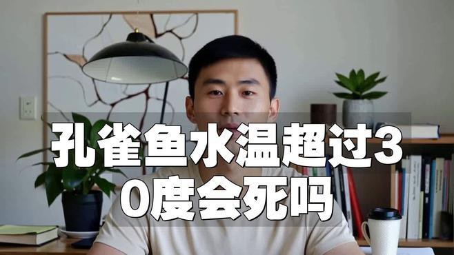 孔雀魚放陽臺會曬死嗎【孔雀魚放陽臺會曬死嗎孔雀魚放陽臺會曬死嗎】
