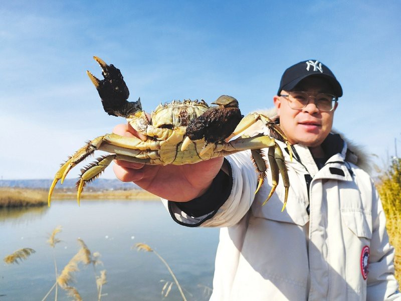 滄州新華龍魚店【山西新華龍魚店的具體地址在哪里】