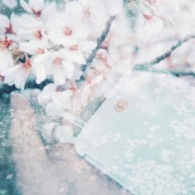 錦鯉白色的頭不能亂養(yǎng)【《錦鯉白色的頭不能亂養(yǎng)》】 龍魚(yú)百科 第10張 錦鯉白色的頭不能亂養(yǎng)【《錦鯉白色的頭不能亂養(yǎng)》】 錦鯉白色的頭不能亂養(yǎng)【《錦鯉白色的頭不能亂養(yǎng)》】 龍魚(yú)百科 第10張