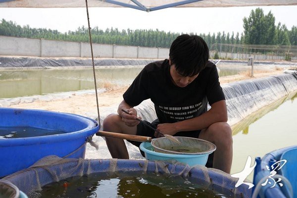 高唐龍魚店【水族世界的奇妙角落——高唐龍魚店】 高唐龍魚店【水族世界的奇妙角落——高唐龍魚店】 全國水族館企業名錄 第2張
