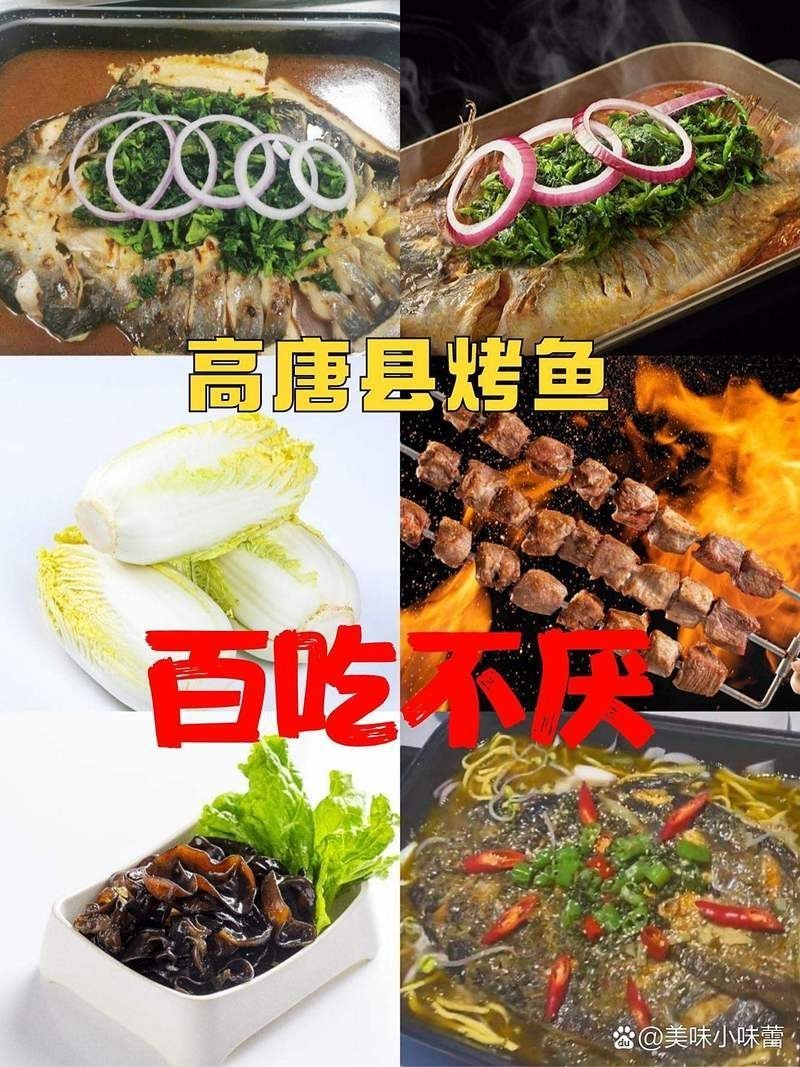 高唐龍魚店【水族世界的奇妙角落——高唐龍魚店】 高唐龍魚店【水族世界的奇妙角落——高唐龍魚店】 全國水族館企業名錄 第1張