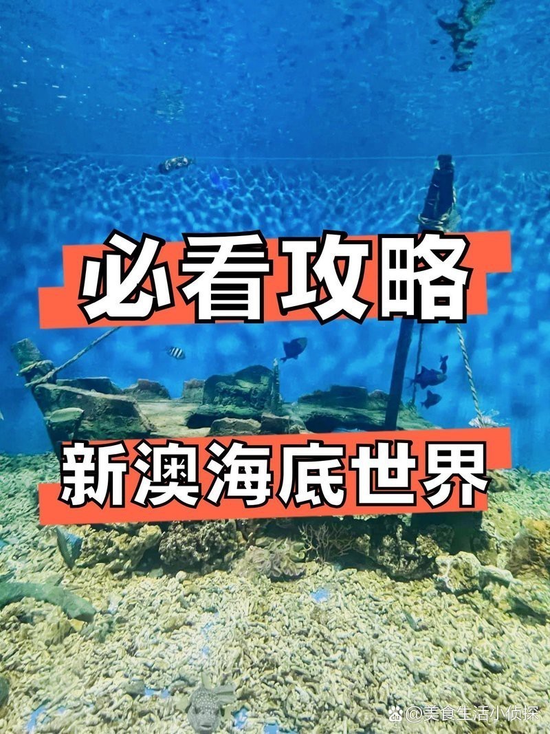 秦皇島水族店【秦皇島新澳海底世界有哪些水族店新澳海底世界有哪些特色】