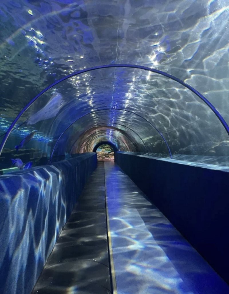 秦皇島水族店【秦皇島新澳海底世界有哪些水族店新澳海底世界有哪些特色】