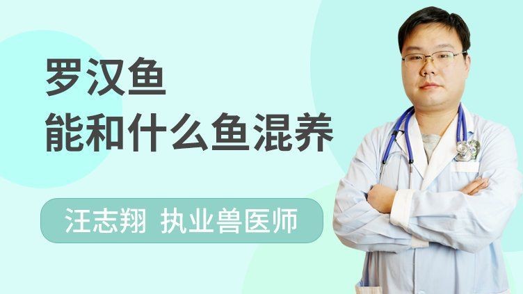 羅漢和印尼虎混養【什么魚可以和虎魚混養】