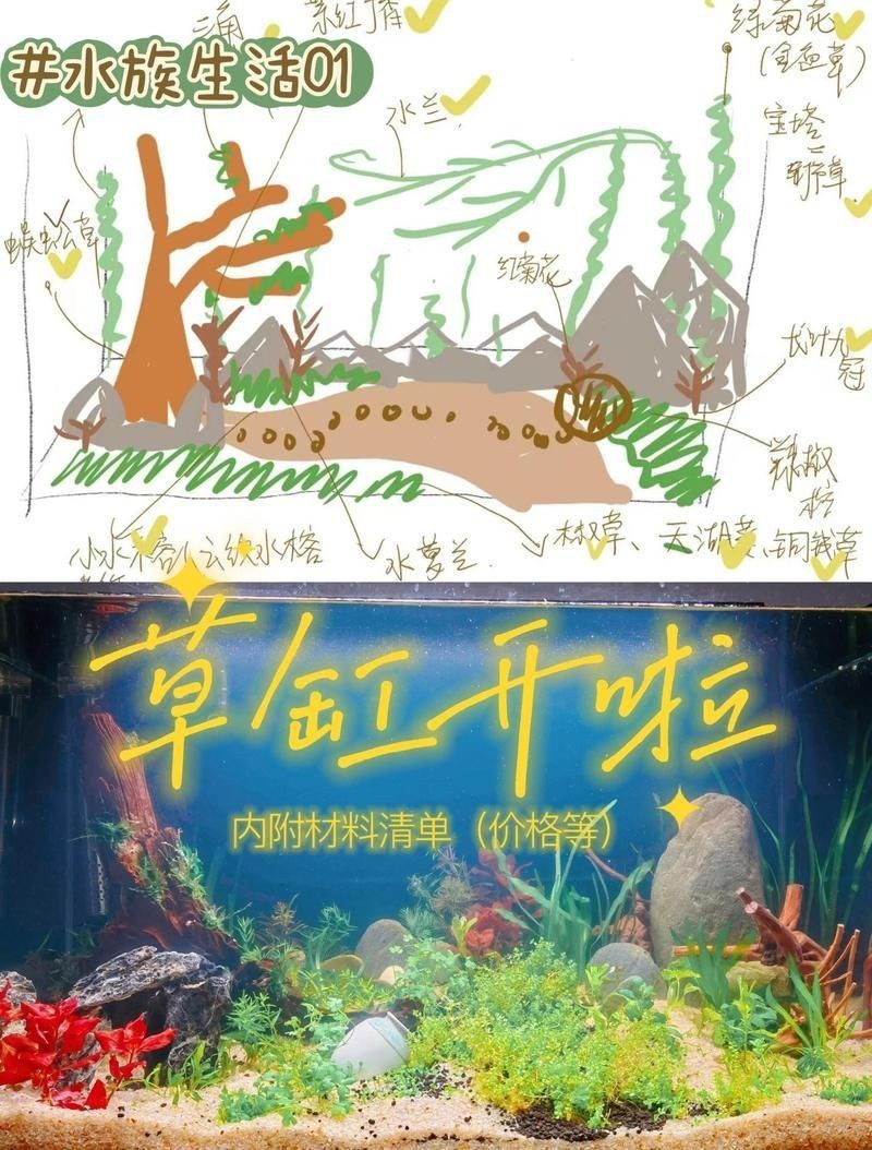 紅眼白子關(guān)刀適合80魚缸養(yǎng)嗎【紅眼白子關(guān)刀魚是否適合飼養(yǎng)】