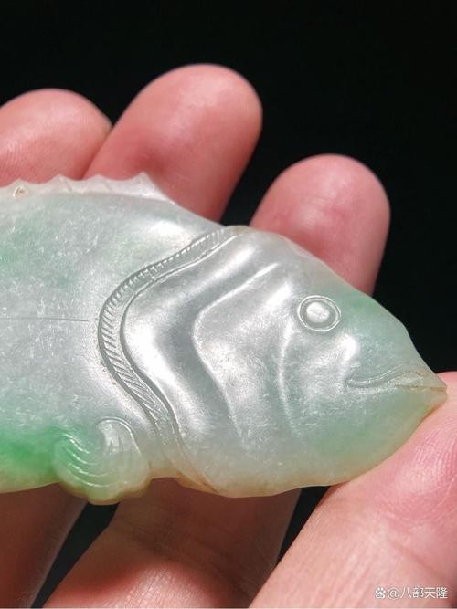 翡翠魚圖片高清大圖【翠和翡翠魚的高清大圖展現了它們令人驚嘆的美麗】 翡翠魚圖片高清大圖【翠和翡翠魚的高清大圖展現了它們令人驚嘆的美麗】 龍魚論壇 第11張