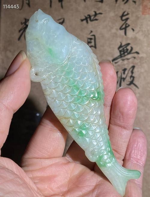 翡翠魚圖片高清大圖【翠和翡翠魚的高清大圖展現了它們令人驚嘆的美麗】 翡翠魚圖片高清大圖【翠和翡翠魚的高清大圖展現了它們令人驚嘆的美麗】 龍魚論壇 第14張