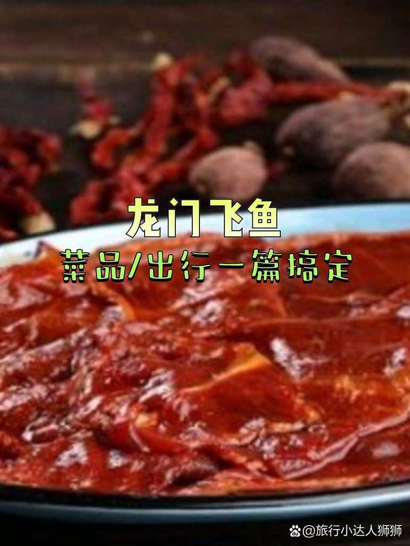 鄱陽龍魚店【鄱陽龍魚店，水族世界的奇妙角落】