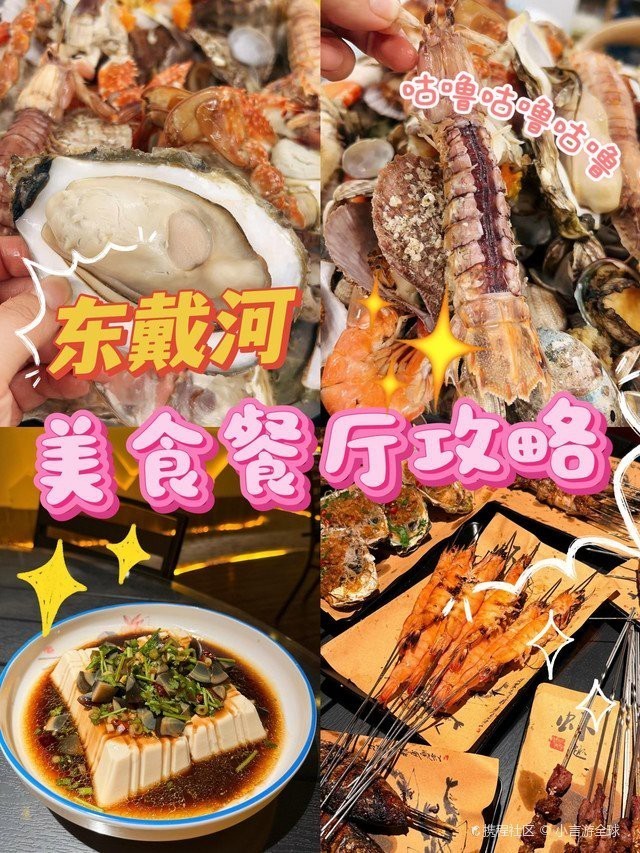 綏中龍魚店【綏中龍魚店——水族世界的奇妙角落】