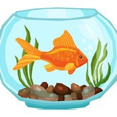 龍魚跳缸后受傷怎么辦【玖柒錢多多養(yǎng)龍魚跳缸后多久能恢復(fù)龍魚跳缸后多久能恢復(fù)】