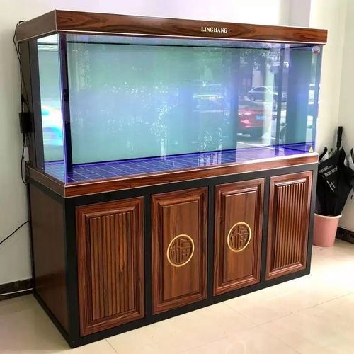 龍魚缸擺放位置風水圖片【龍魚缸擺放位置在風水學說中頗具講究,龍魚缸擺放位置在風水學說】 龍魚百科 第15張 龍魚缸擺放位置風水圖片【龍魚缸擺放位置在風水學說中頗具講究,龍魚缸擺放位置在風水學說】 龍魚缸擺放位置風水圖片【龍魚缸擺放位置在風水學說中頗具講究,龍魚缸擺放位置在風水學說】 龍魚百科 第15張