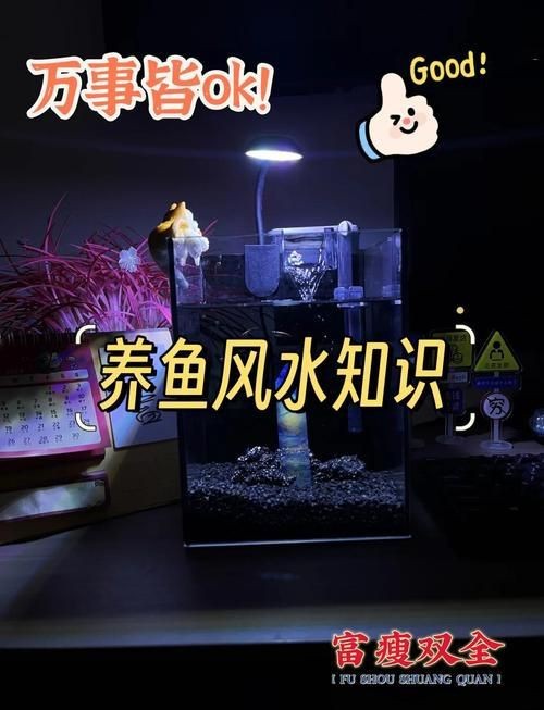 龍魚缸擺放位置風水圖片【龍魚缸擺放位置在風水學說中頗具講究,龍魚缸擺放位置在風水學說】 龍魚百科 第18張 龍魚缸擺放位置風水圖片【龍魚缸擺放位置在風水學說中頗具講究,龍魚缸擺放位置在風水學說】 龍魚缸擺放位置風水圖片【龍魚缸擺放位置在風水學說中頗具講究,龍魚缸擺放位置在風水學說】 龍魚百科 第18張
