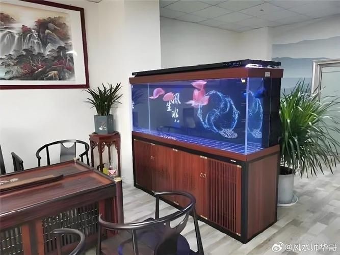 龍魚缸擺放位置風水圖片【龍魚缸擺放位置在風水學說中頗具講究,龍魚缸擺放位置在風水學說】 龍魚百科 第24張 龍魚缸擺放位置風水圖片【龍魚缸擺放位置在風水學說中頗具講究,龍魚缸擺放位置在風水學說】 龍魚缸擺放位置風水圖片【龍魚缸擺放位置在風水學說中頗具講究,龍魚缸擺放位置在風水學說】 龍魚百科 第24張