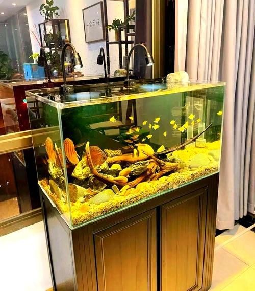 龍魚缸擺放位置風水圖片【龍魚缸擺放位置在風水學說中頗具講究,龍魚缸擺放位置在風水學說】 龍魚百科 第27張 龍魚缸擺放位置風水圖片【龍魚缸擺放位置在風水學說中頗具講究,龍魚缸擺放位置在風水學說】 龍魚缸擺放位置風水圖片【龍魚缸擺放位置在風水學說中頗具講究,龍魚缸擺放位置在風水學說】 龍魚百科 第27張