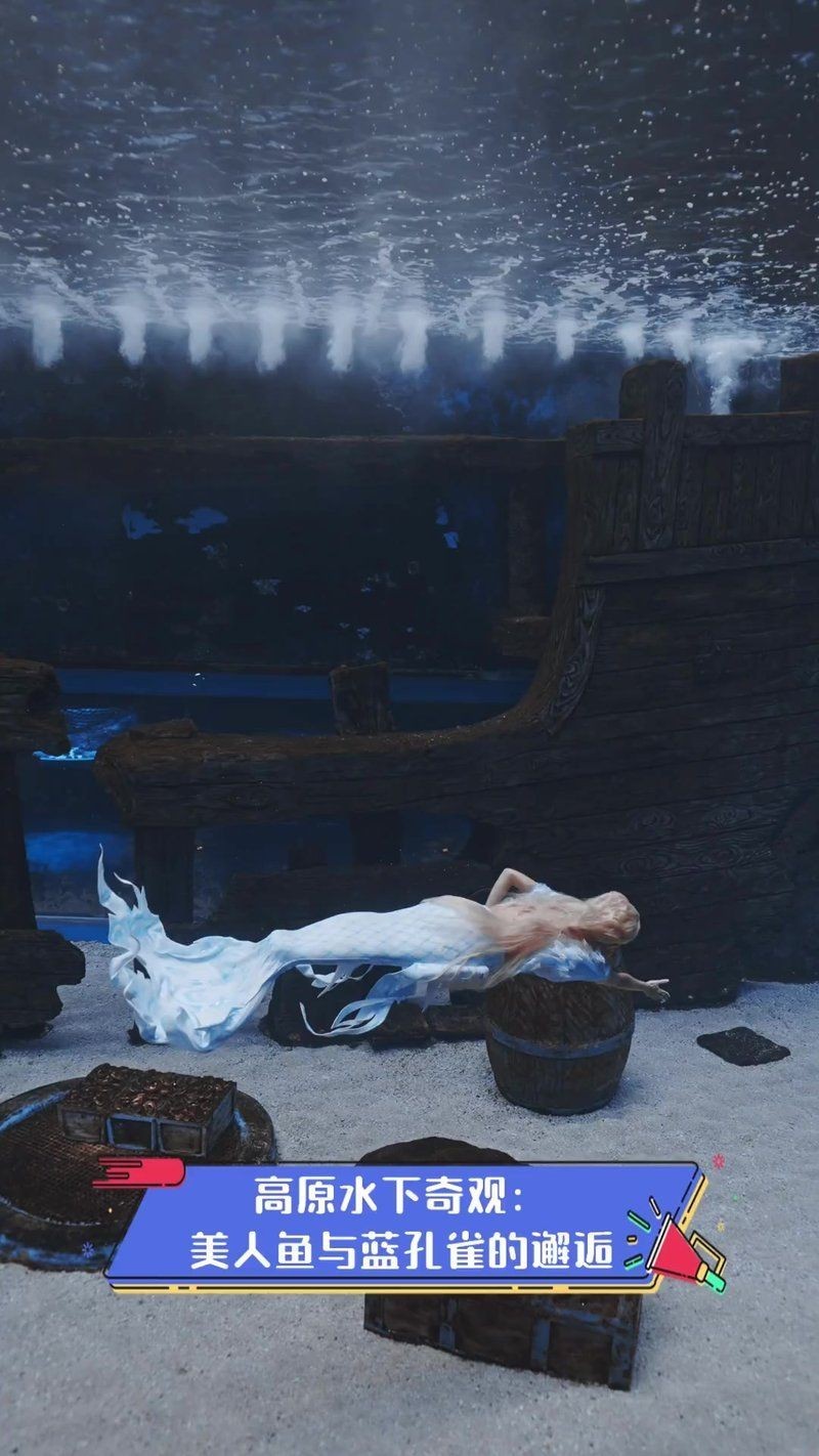 美人魚和什么最配【關于美人魚和什么最配，美人魚花邊裙+鏤空毛衣絕配】