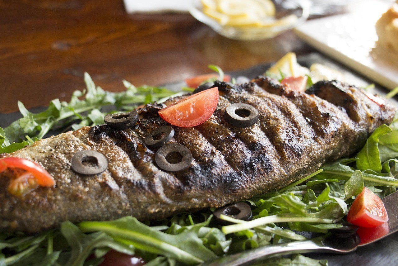 龍魚配魚的最佳選擇【如何為龍魚選擇配魚？】