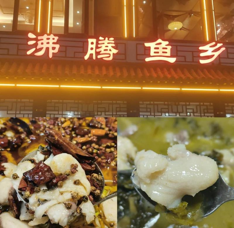 濰坊龍魚店【水族世界的奇妙角落——濰坊龍魚店】 濰坊龍魚店【水族世界的奇妙角落——濰坊龍魚店】 全國水族館企業名錄 第8張
